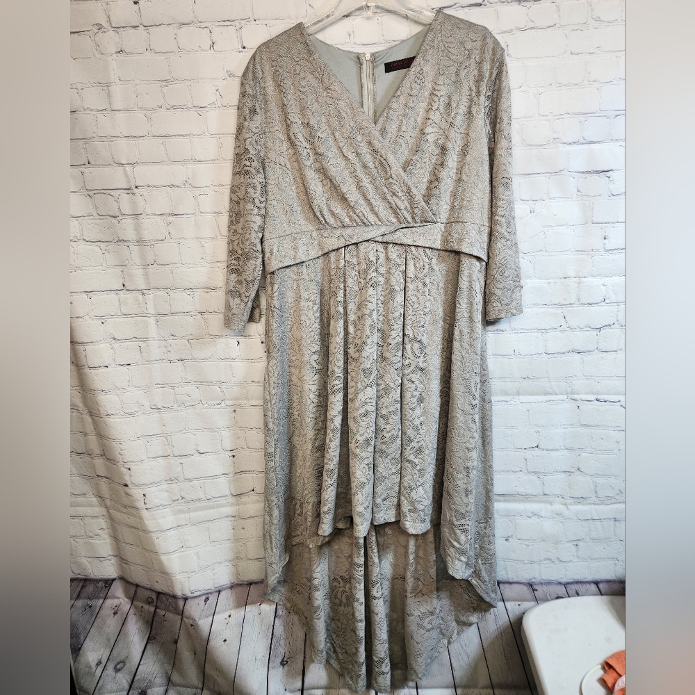 Dress Tells/ Gray Lace Dress
